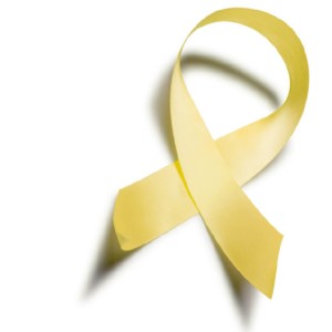 spina_bifida_awareness_ribbon