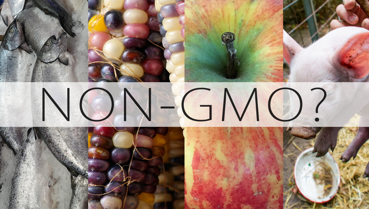 What does non gmo mean?